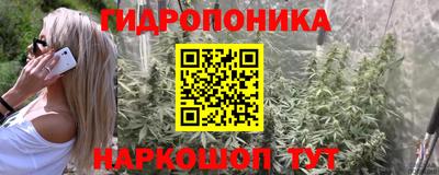 шишки Пугачёв