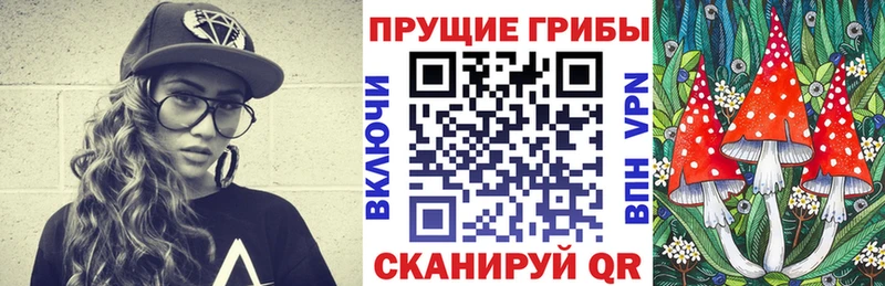 Галлюциногенные грибы GOLDEN TEACHER  закладка  Азов 