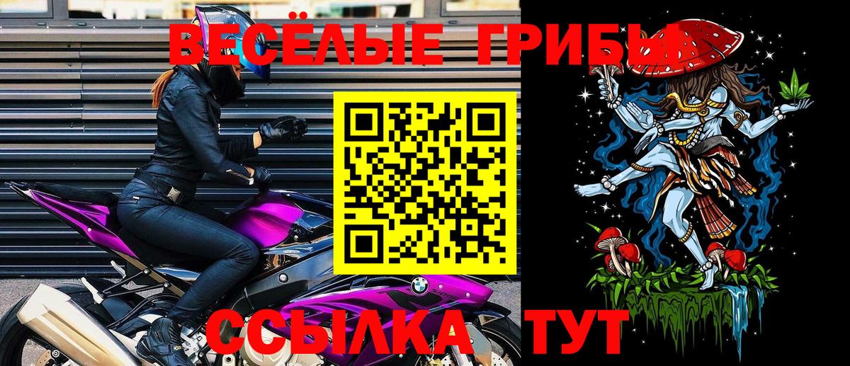 Азов  Псилоцибиновые грибы прущие грибы  Вход с VPN  Галлюциногенные грибы ЛСД 